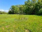 Bauland - Novigrad (04283)