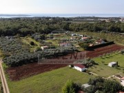 Landwirtschaftliche - Novigrad (03804)