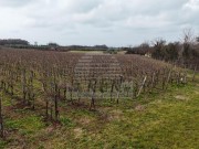 Landwirtschaftliche - Brtonigla (05681)