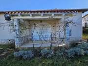 Haus - Novigrad (05221)