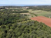 Landwirtschaftliche  - Umag (05022)