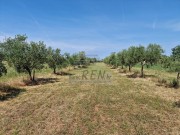 Landwirtschaftliche  - Novigrad (05003)