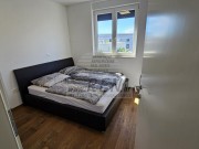 Wohnung - Novigrad (05602)