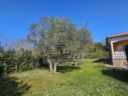 Haus - Umag (05756)