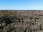 Landwirtschaftliche - Umag (04928)