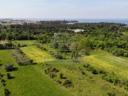 Bauland  - Umag (04933)