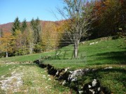 Bauland - Mrkopalj (00708)