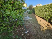 Wohnung - Novigrad (05071)