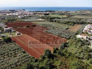 Bauland  - Novigrad (04176)