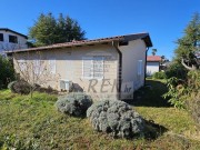 Haus - Novigrad (05221)