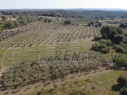Landwirtschaftliche - Novigrad (05060)