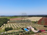 Haus - Novigrad (04964)