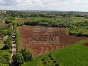 Landwirtschaftliche - Brtonigla (05681)