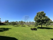 Haus - Brtonigla (04934)
