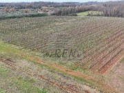 Landwirtschaftliche - Brtonigla (05682)