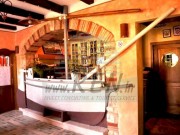 Villa - Umag (00914)