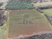 Landwirtschaftliche - Brtonigla (05682)