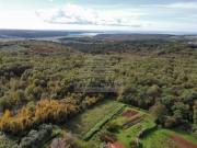 Bauland - Novigrad (05603)