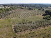 Landwirtschaftliche - Novigrad (05060)