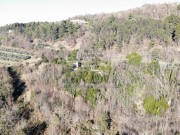 Bauland  - Buje (05425)