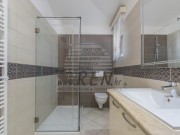 Haus - Novigrad (05719)