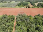 Landwirtschaftliche - Umag (05022)