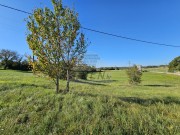 Bauland - Buje (05064)