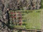 Bauland - Novigrad (03893)