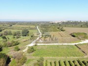 Bauland  - Brtonigla (05587)