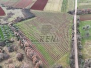 Landwirtschaftliche - Brtonigla (05681)