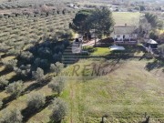 Haus - Novigrad (05749)