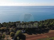 Bauland - Umag (03843)