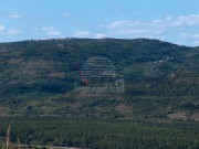 Istrien Haus - Motovun (00803)