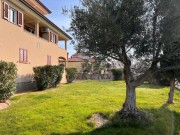 Wohnung - Novigrad (05038)