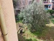 Wohnung - Pula (04894)