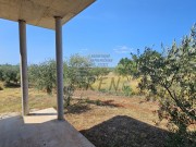 Haus - Novigrad (05737)