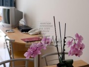 Villa - Umag (03303)