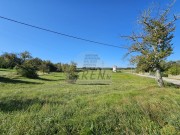 Bauland - Buje (05064)