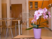 Villa - Umag (03303)