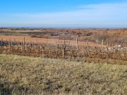 Bauland - Novigrad (04482)