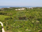 Bauland - Umag (04933)