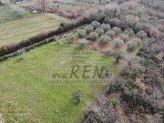 Bauland - Novigrad (03893)