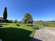 Haus - Brtonigla (04934)