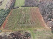 Landwirtschaftliche - Brtonigla (05682)