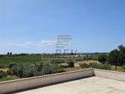 Haus - Novigrad (05737)