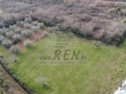 Bauland - Novigrad (03893)