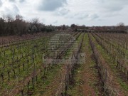 Landwirtschaftliche - Brtonigla (05681)