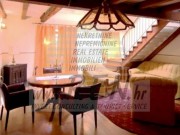 Villa - Umag (00914)