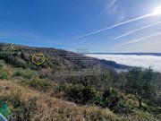 Istrien Haus - Grožnjan (05621)