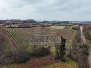 Landwirtschaftliche - Brtonigla (05681)